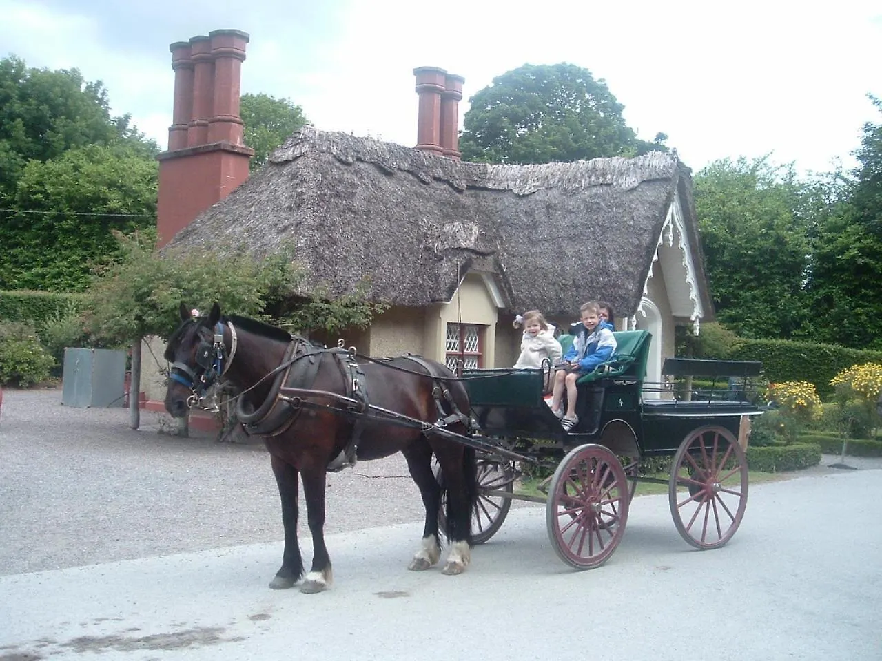 Shepherds Lodge B&B Killarney Bed & Breakfast