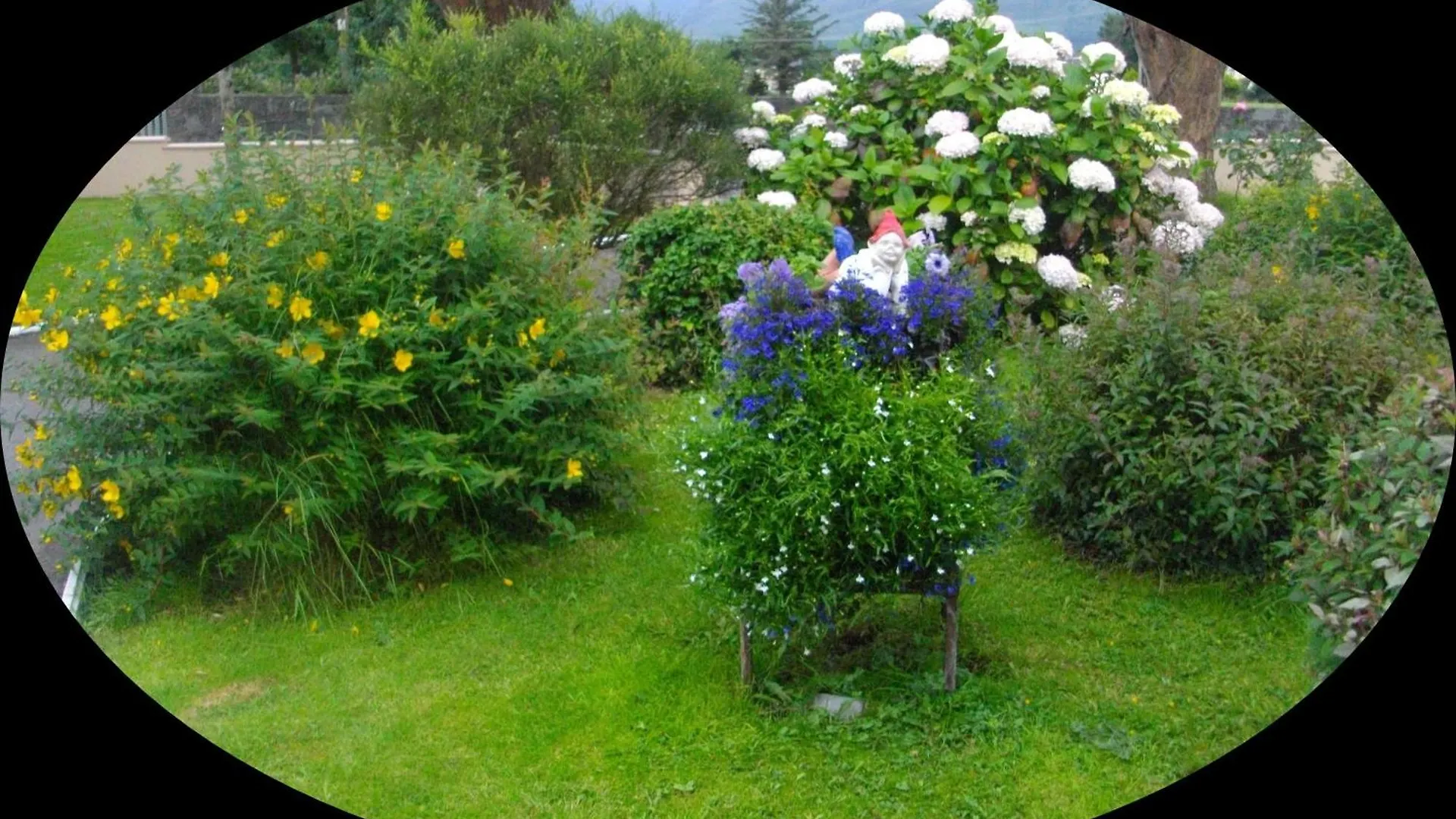 Shepherds Lodge B&B Killarney Bed & Breakfast
